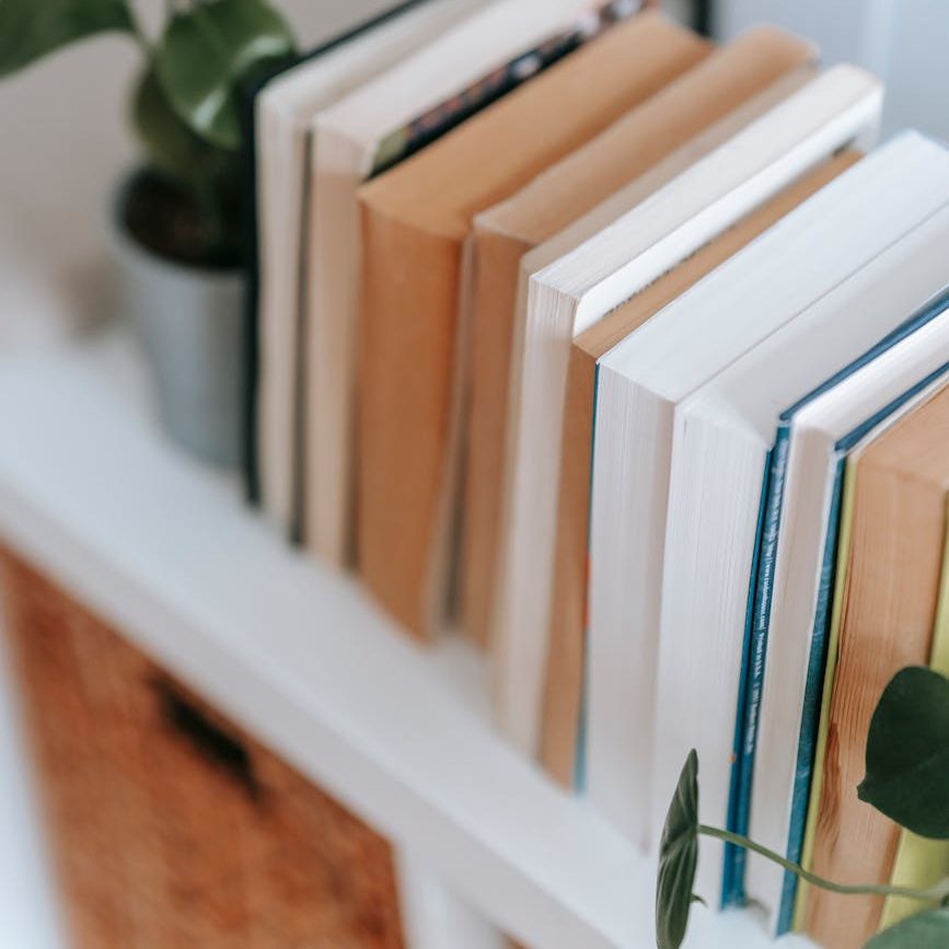 shelf with stack of books and plant